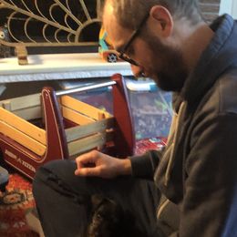 Miniature Schnauzer All Grown Up from Seventy Serenity Schnauzers