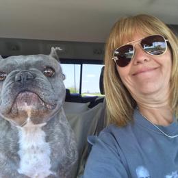 French Bulldog Puppies from Blue Ribbon French Bulldogs