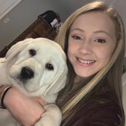 Labrador Retriever Puppies from Alabama English Labs