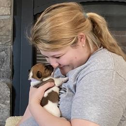 Golden Retriever and Jack Russell Terrier Puppies from Shelby Burleson's Golden Retrievers and Jack Russell Terriers