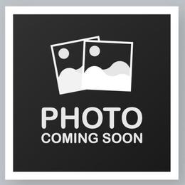Girl 1 - Liver female Shih Tzu puppy in Whittier, California from Socal Mother Of Shih Tzus