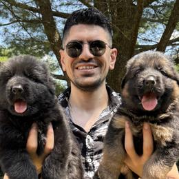 German Shepherds from Puppies Kingdom Team