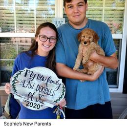 Aussiedoodle and Goldendoodle Puppies from Law Doodles of SC