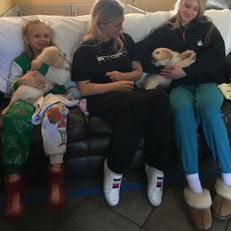 Golden Retriever Puppies from Brody's Golden Retriever Puppies