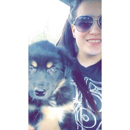 Australian Shepherd Puppies from Sassy Australian Shepherds