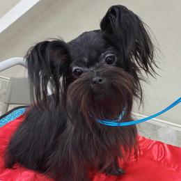 Sebastian - Mi-Ki