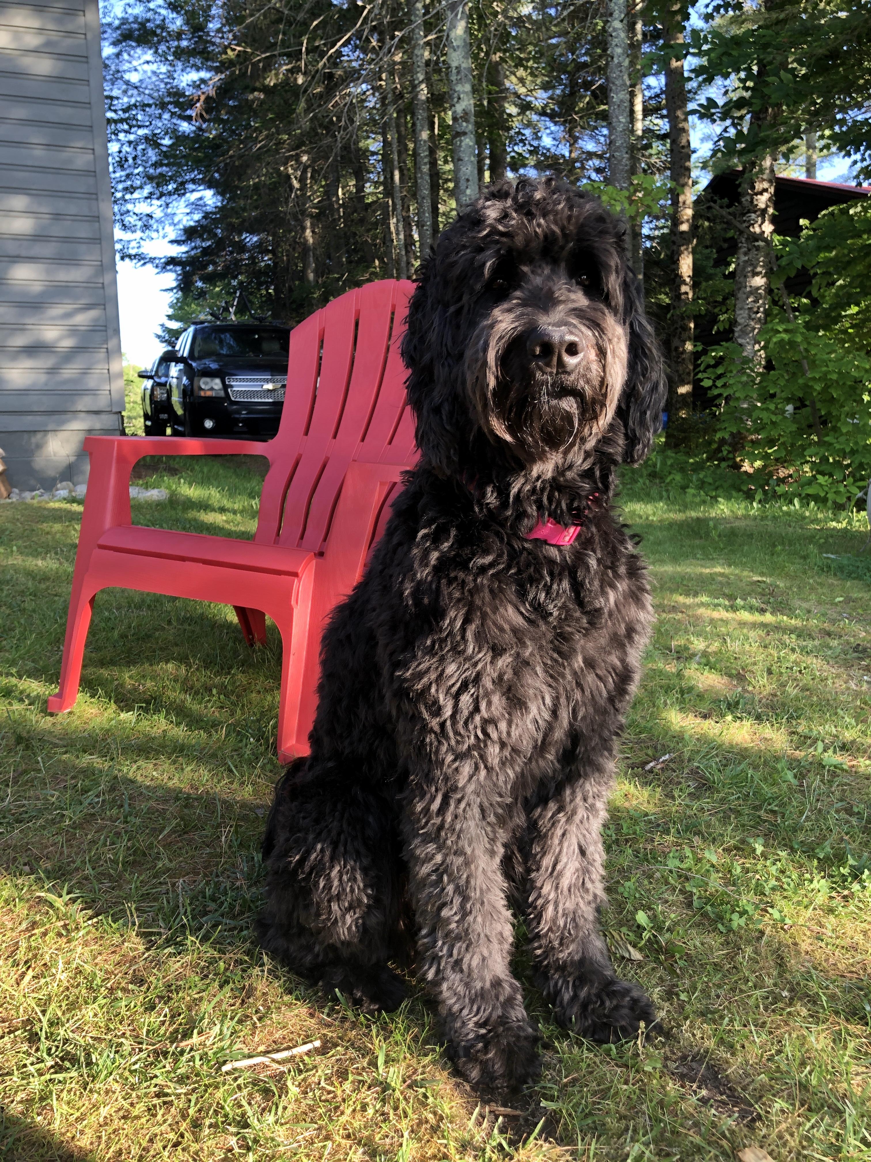 Skye
