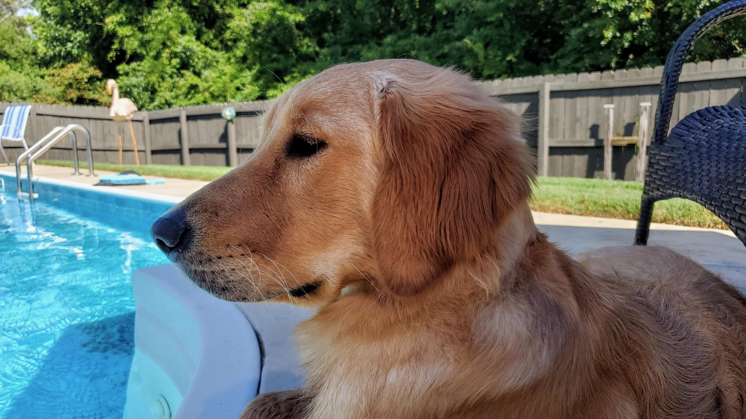 Freya