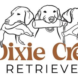 Labrador Retrievers from Dixie Creek Labradors