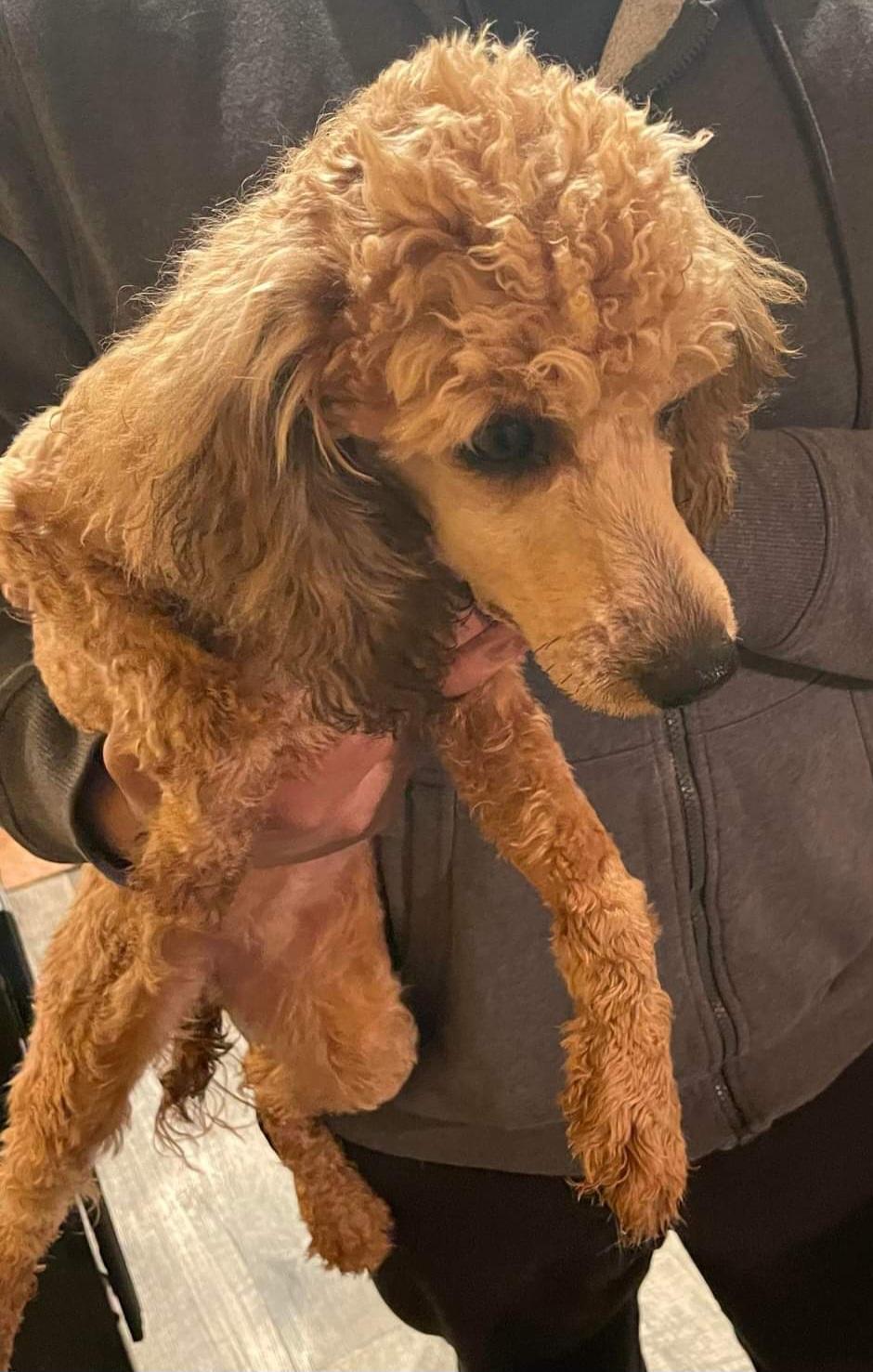 Coco