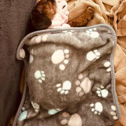 Bulldog Puppies from Kandyland Bulldogs