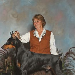 Doberman Pinschers from Dillon Dobermans