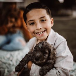 Aussiedoodle and Bernedoodle Puppies from High Desert Doodles
