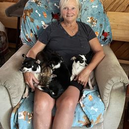 Chihuahua Puppies from Rhoda and Verna