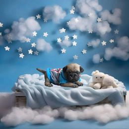Pug Puppies from Precious Paws