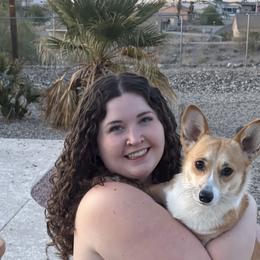 Pembroke Welsh Corgis from London Bridge Corgis