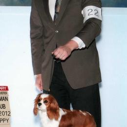 Cavalier King Charles Spaniels and Japanese Chins from Montra Japanese Chin & Cavalier King Charles Spaniels