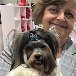 Biewer Terriers and Poodles from Eaglehill-South Miniature Poodles/Classic Biewer Terriers