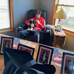 Bernese Mountain Dog Puppies from Lonesome Pine Farm