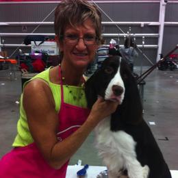 English Springer Spaniels from Bonita Springers