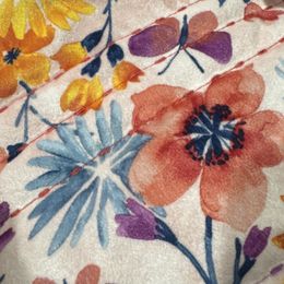 Frank - Sable male Dachshund puppy in Cabool, Missouri from Dachshund's of Country Magic Farms in Missouri