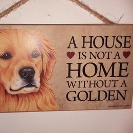 Golden Retriever Puppies from Davids Golden Retrievers