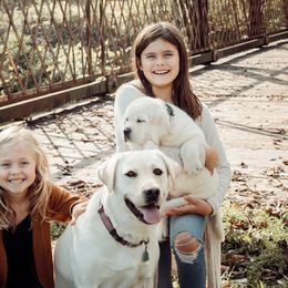 Labrador Retrievers from Jones Family Labs