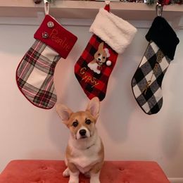 Pembroke Welsh Corgi Puppies from Tri-Star Stock Farm