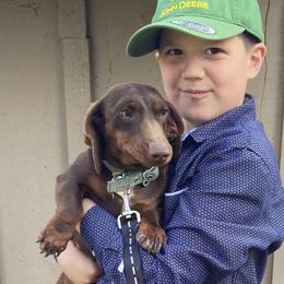 Dolly - Dachshund