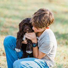 Portuguese Water Dog Puppies from Keehn-Country Porties