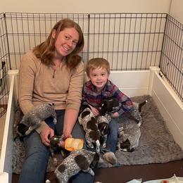 German Shorthaired Pointer Puppies from Chrishelle Farm