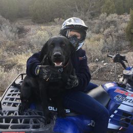 Labrador Retriever All Grown Up from Rocky Mountain Dogs - Utah