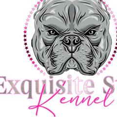Shorty Bulls from Exquisite Star Kennel