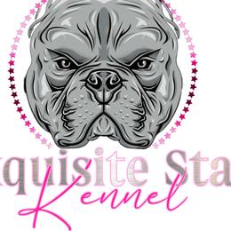 Shorty Bulls from Exquisite Star Kennel