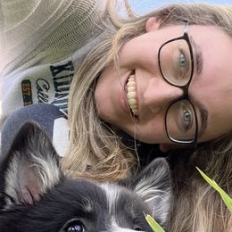 Icelandic Sheepdog Puppies from Windswept Icelandic Sheepdogs
