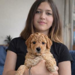 Penny Von BridleWoof - Apricot female Goldendoodle puppy in Great Barrington, Massachusetts from BridleWoof