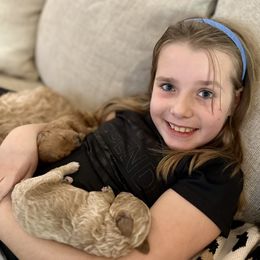 Cavachon and Cavapoochon Puppies from Forever Puppies 4U