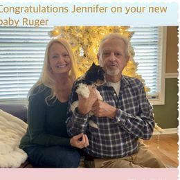 Biewer Terrier and Yorkshire Terrier Puppies from South Georgia Yorkies and Biewers