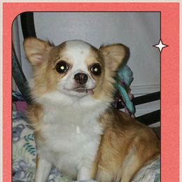 Na - Chihuahua