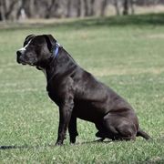 Tux - Sporty Mix