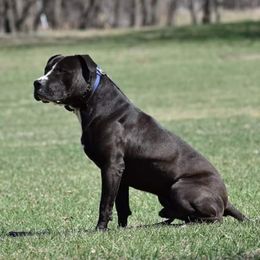 Tux - Sporty Mix