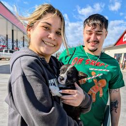 Cousin Eddie - Brindle and white male American Corgi puppy in Shawnee, Oklahoma from Sunray Ranch