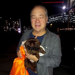 Cosmo Castorini - Sable and white male Shih Tzu puppy in Boston, Massachusetts from NFST IMPERIAL SHIHTZU PUPPIES