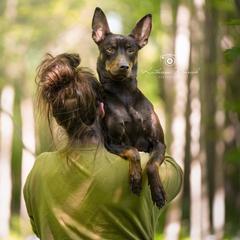 Peruvian Inca Orchid All Grown Up from Calypso Kennel