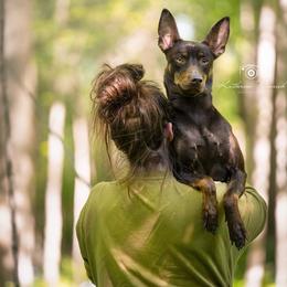 Peruvian Inca Orchid All Grown Up from Calypso Kennel