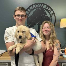 Blue Boy - Light golden male Golden Retriever puppy in Seagrove, North Carolina from Willow Oak Farm Golden Retrievers