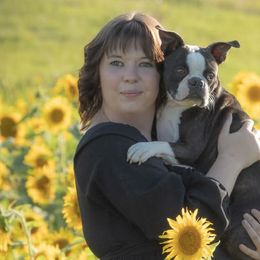 Boston Terriers from Lucht-Tee Acres Bostons