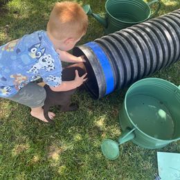 Labrador Retriever Puppies from Naomi's Labrador Retrievers