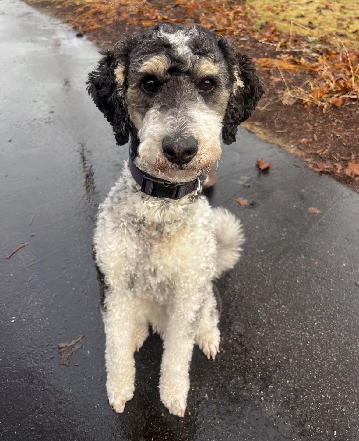 Freddy (aka Grendel)