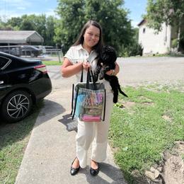 Purple Collar Girl - Black female Goldendoodle puppy in Knoxville, Tennessee from Niya’s Doodles